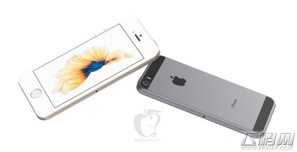 iPhone 5SE ýųȾͼ (3)